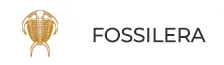  Fossilera Promo Codes