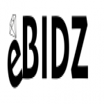  EBIDZ Promo Codes