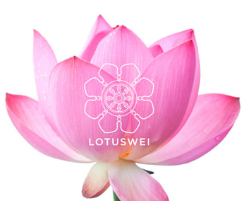  Lotus Wei Promo Codes