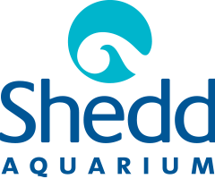  Shedd Aquarium Promo Codes