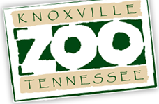  Zooknoxville Promo Codes